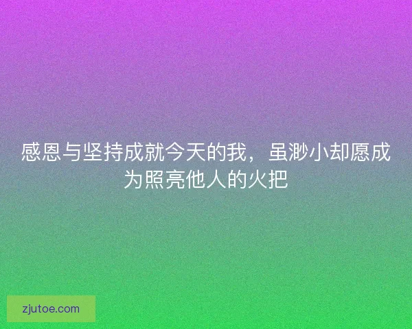 感恩与坚持成就今天的我，虽渺小却愿成为照亮他人的火把